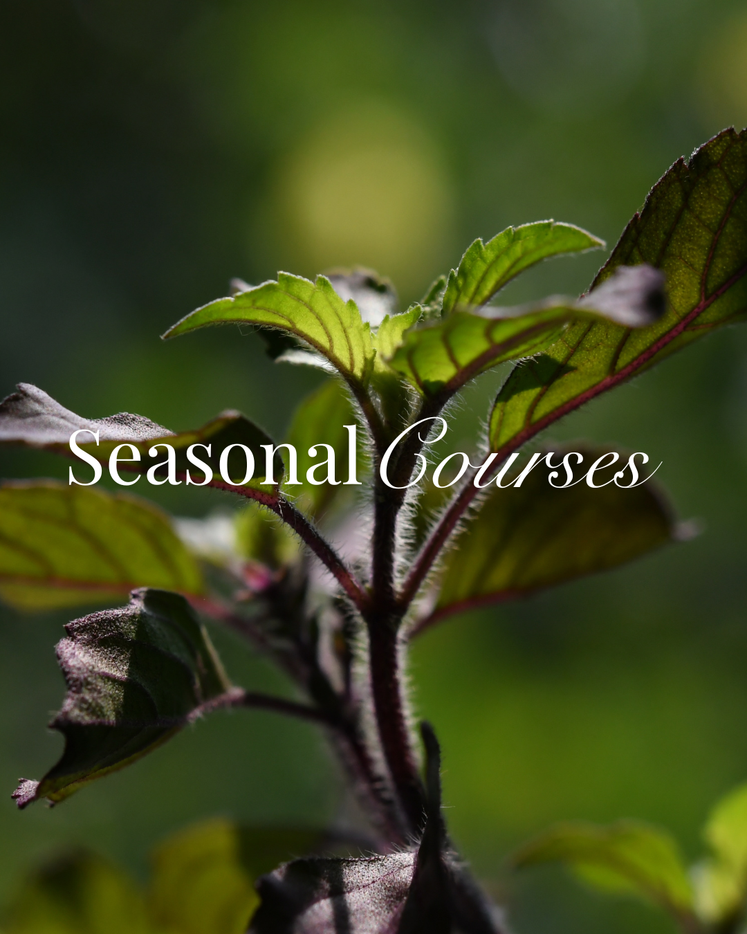 Жилийн аль ч улиралд эрүүл